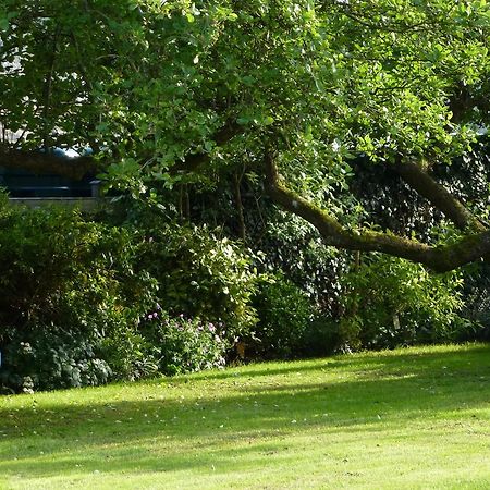 Sleepy Hollow Cottages Somerton  Esterno foto