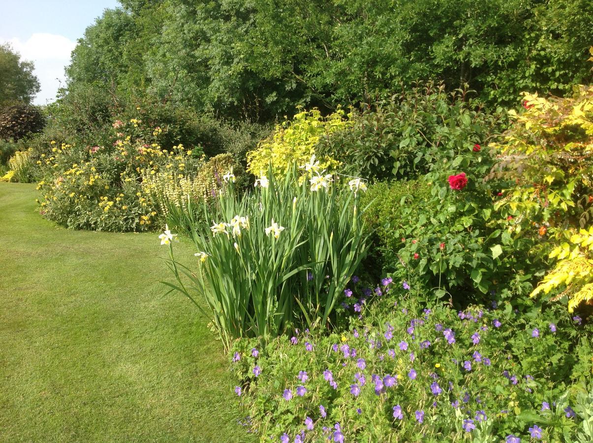 Sleepy Hollow Cottages Somerton  Esterno foto