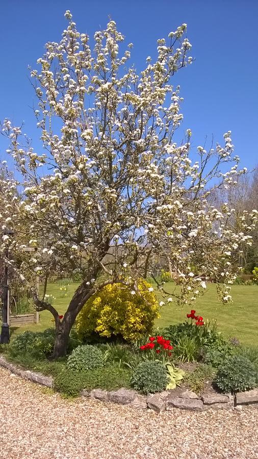 Sleepy Hollow Cottages Somerton  Esterno foto